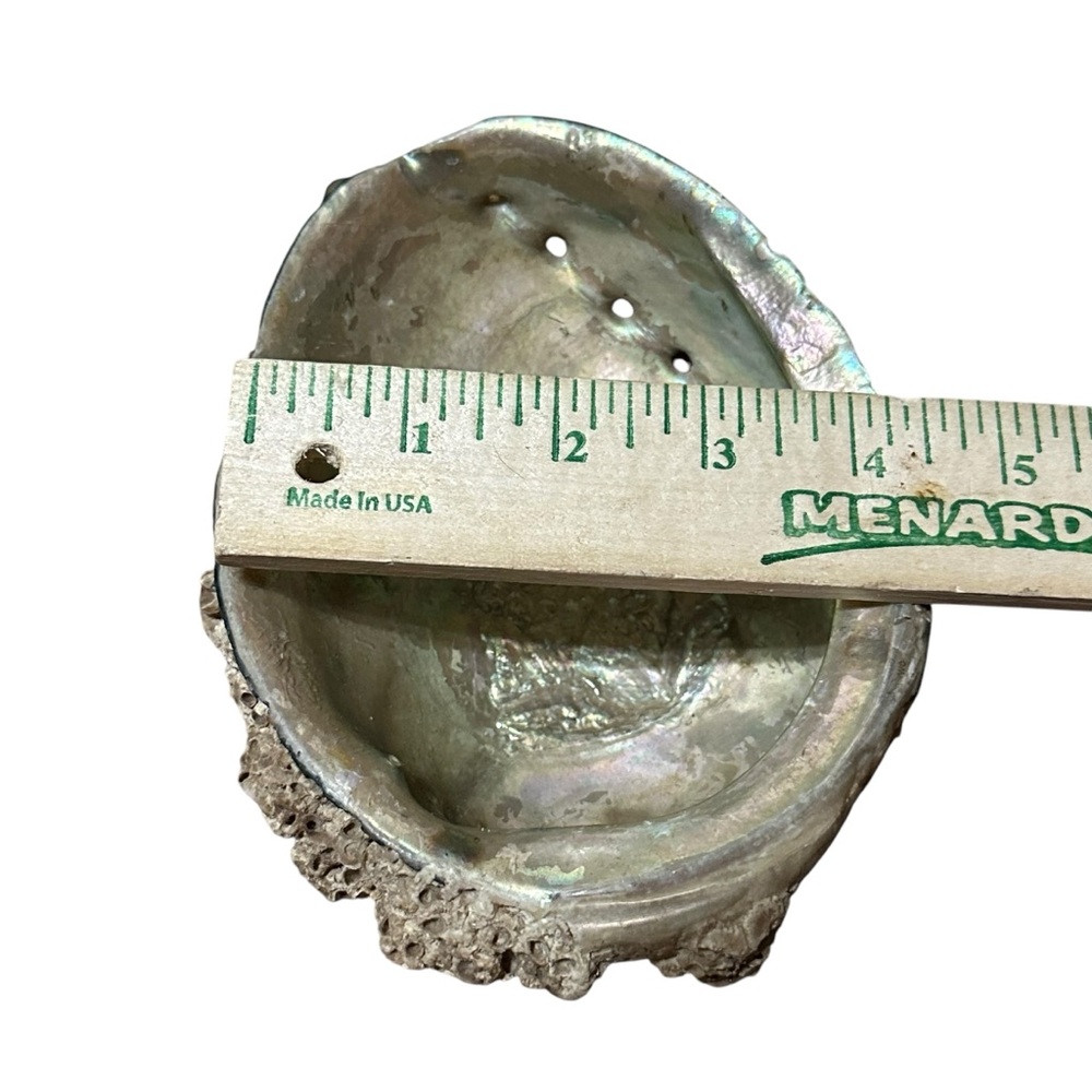 Abalone Sea Shell Beach Nautical Bowl Natural 70s 4.5”x5.5” - Picture 8 of 16